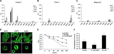 The Importance of Aquaporin 1 in Pancreatitis and Its Relation to the CFTR Cl- Channel